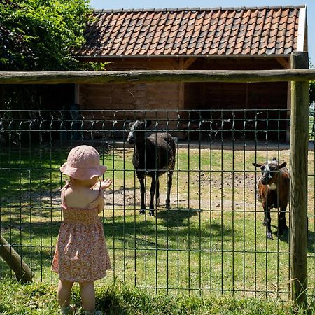 Hoeve De Binnenplaets Schimmert المظهر الخارجي الصورة