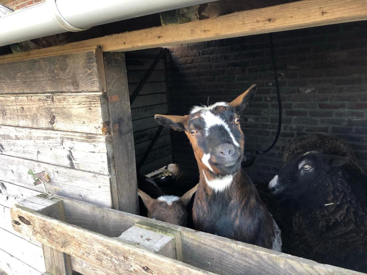 Hoeve De Binnenplaets Schimmert المظهر الخارجي الصورة